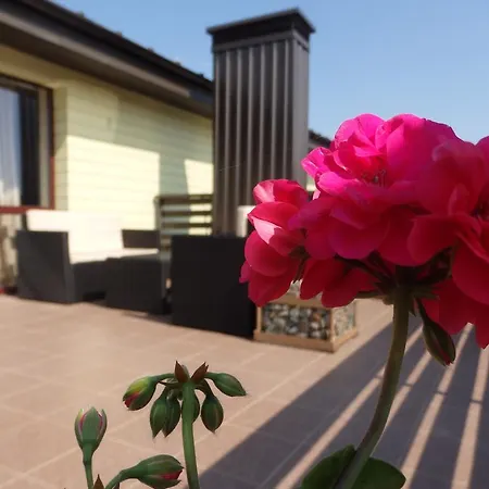 Palangos Vila 1 Паланга